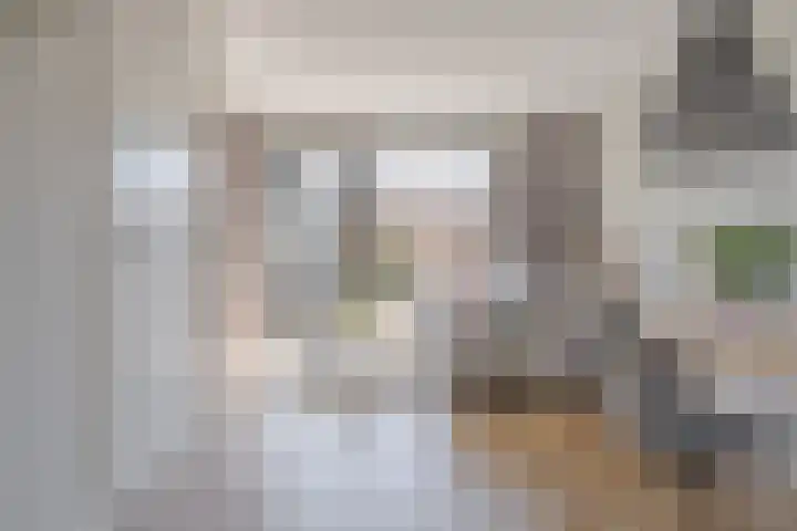 Beukmolen 23 Zwolle thumbnail 10