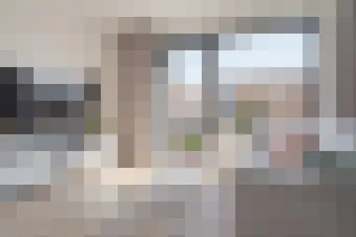 Beukmolen 23 Zwolle thumbnail 12