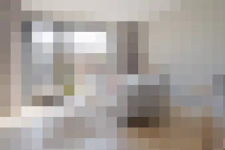 Beukmolen 23 Zwolle thumbnail 13