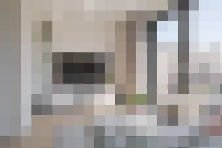 Beukmolen 23 Zwolle thumbnail 14