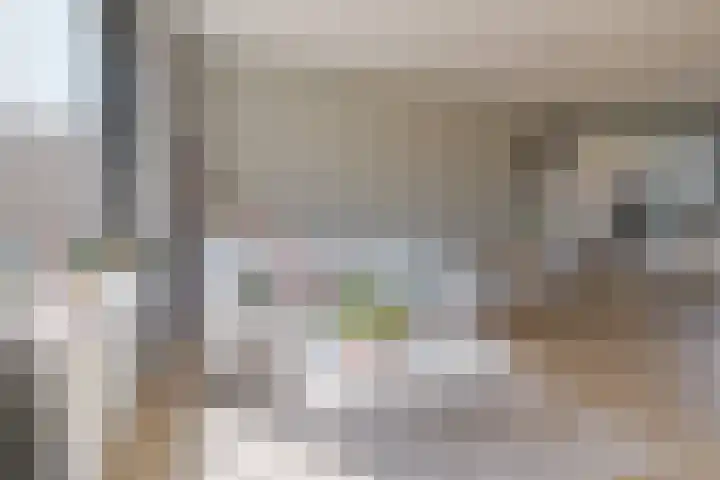 Beukmolen 23 Zwolle thumbnail 16