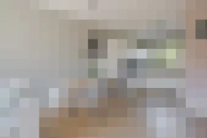 Beukmolen 23 Zwolle thumbnail 17