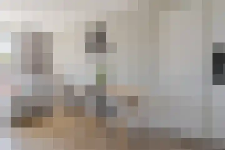Beukmolen 23 Zwolle thumbnail 18