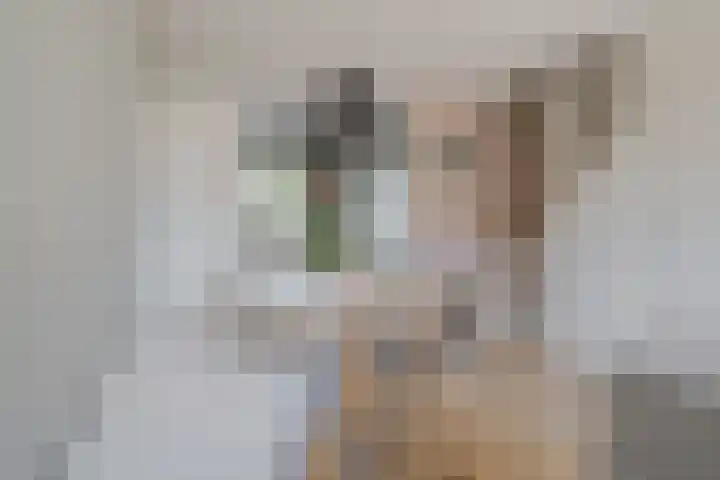 Beukmolen 23 Zwolle thumbnail 19