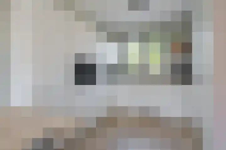 Beukmolen 23 Zwolle thumbnail 20