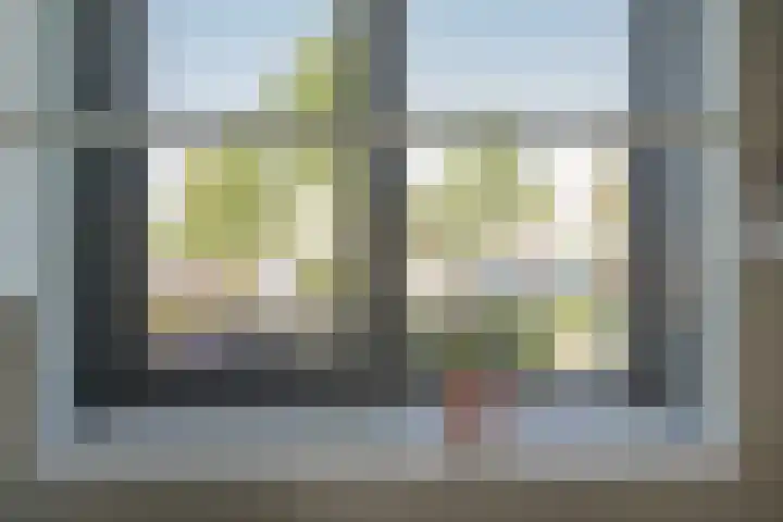 Beukmolen 23 Zwolle thumbnail 22