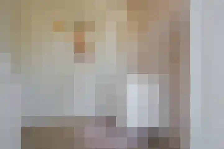Beukmolen 23 Zwolle thumbnail 30