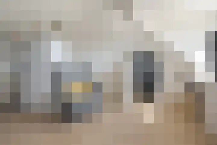 Beukmolen 23 Zwolle thumbnail 32