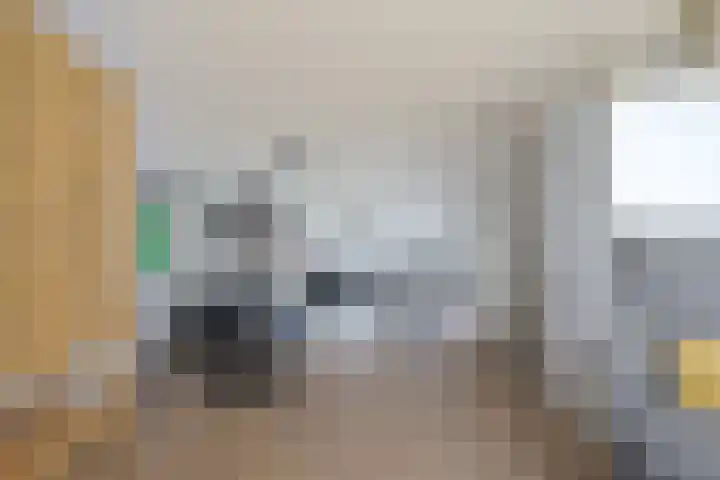 Beukmolen 23 Zwolle thumbnail 34