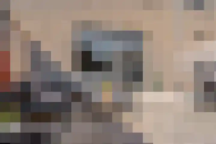 Beukmolen 23 Zwolle thumbnail 38