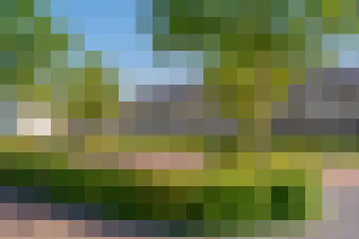 Beukmolen 23 Zwolle thumbnail 4