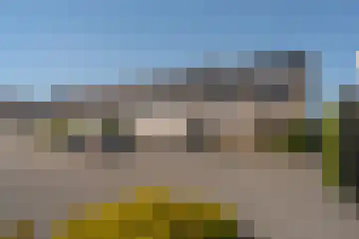 Beukmolen 23 Zwolle thumbnail 45