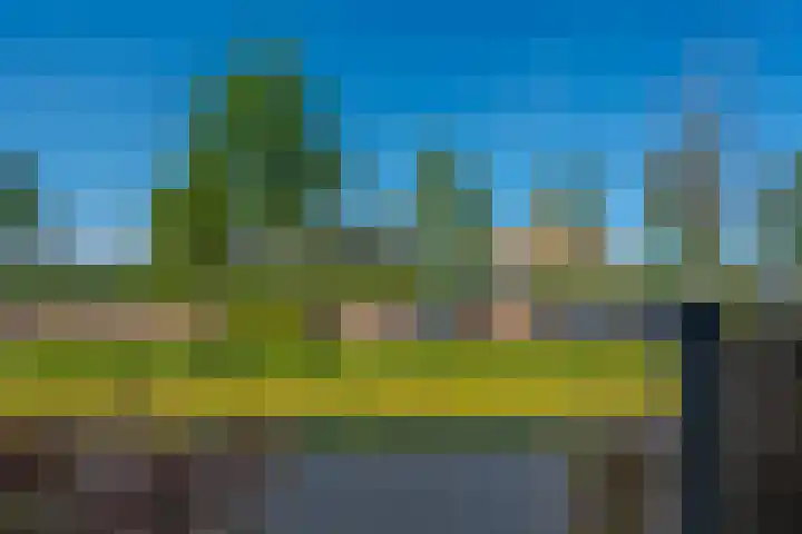 Beukmolen 23 Zwolle thumbnail 46