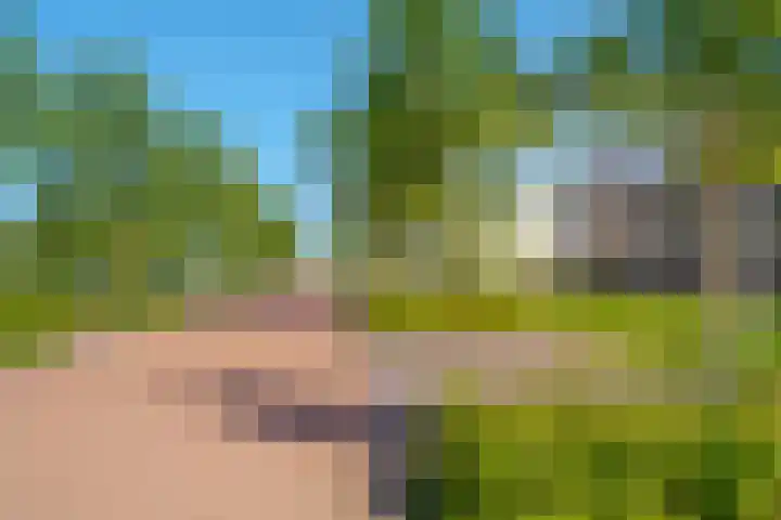 Beukmolen 23 Zwolle thumbnail 47