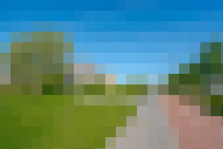 Beukmolen 23 Zwolle thumbnail 48