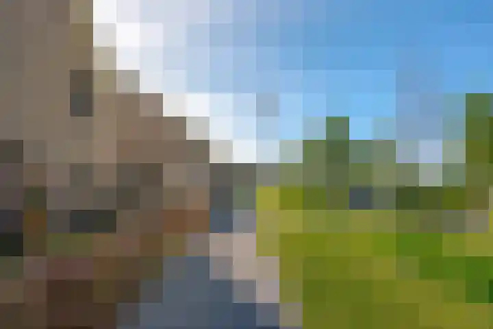 Beukmolen 23 Zwolle thumbnail 5