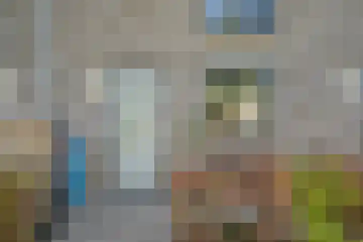 Beukmolen 23 Zwolle thumbnail 6