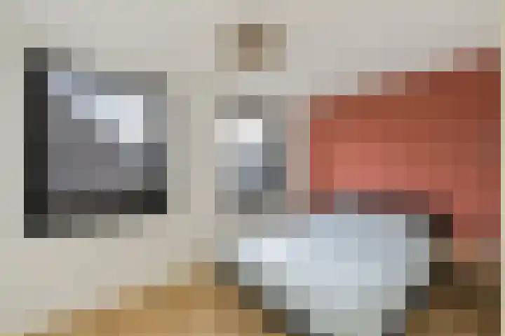 Beukmolen 3 Zwolle thumbnail 13