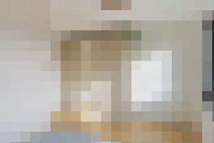 Beukmolen 3 Zwolle thumbnail 14