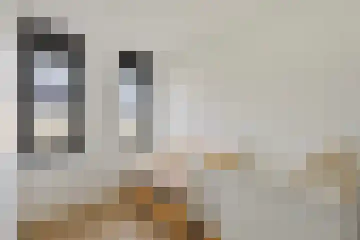Beukmolen 3 Zwolle thumbnail 15