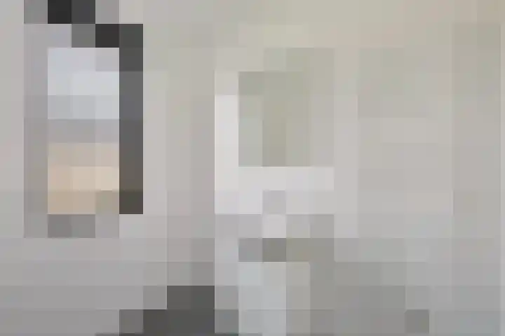 Beukmolen 3 Zwolle thumbnail 17