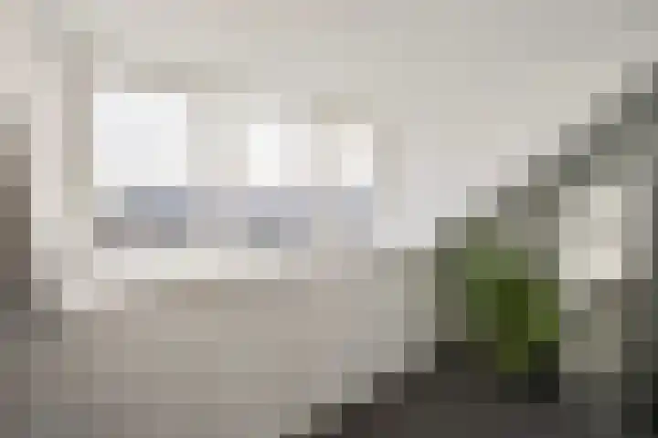 Beukmolen 3 Zwolle thumbnail 20