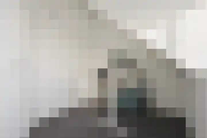 Beukmolen 3 Zwolle thumbnail 21