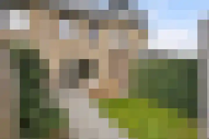 Beukmolen 3 Zwolle thumbnail 22