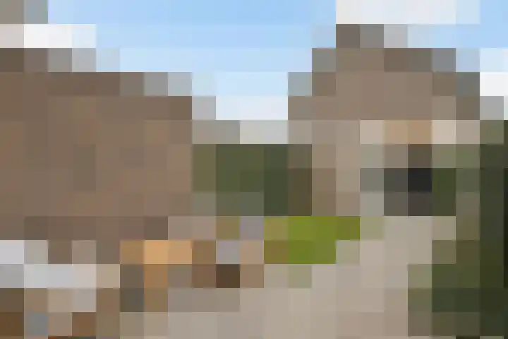 Beukmolen 3 Zwolle thumbnail 23