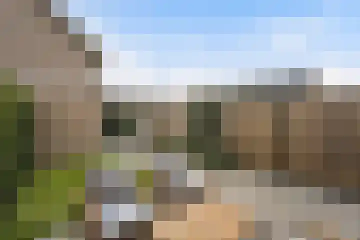 Beukmolen 3 Zwolle thumbnail 24