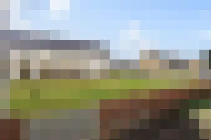 Beukmolen 3 Zwolle thumbnail 26