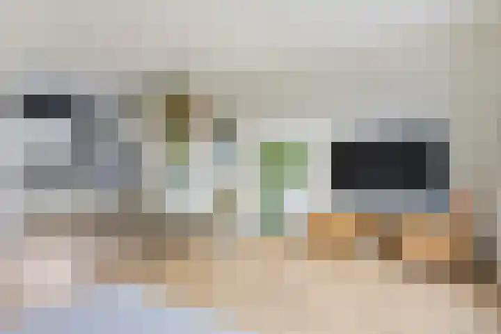 Beukmolen 3 Zwolle thumbnail 4