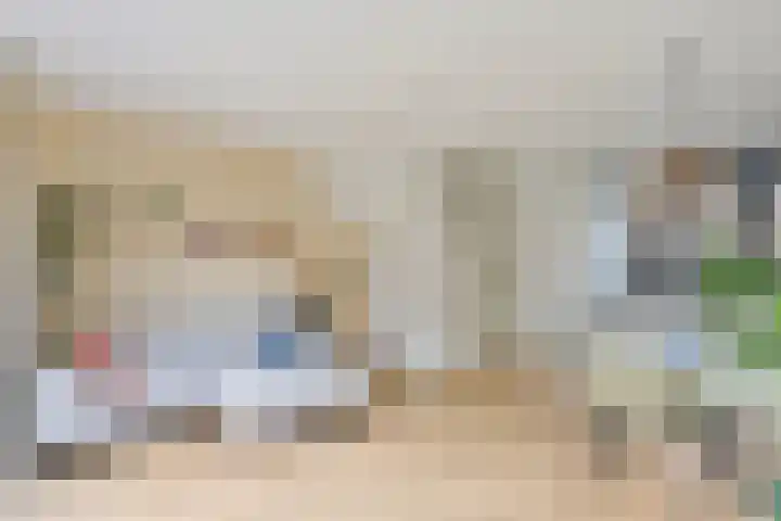 Beukmolen 3 Zwolle thumbnail 5