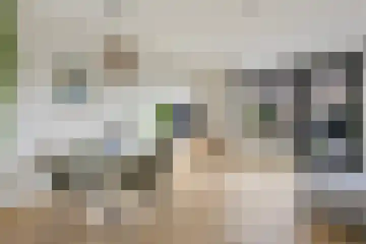 Beukmolen 3 Zwolle thumbnail 6