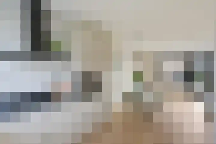 Beukmolen 3 Zwolle thumbnail 8