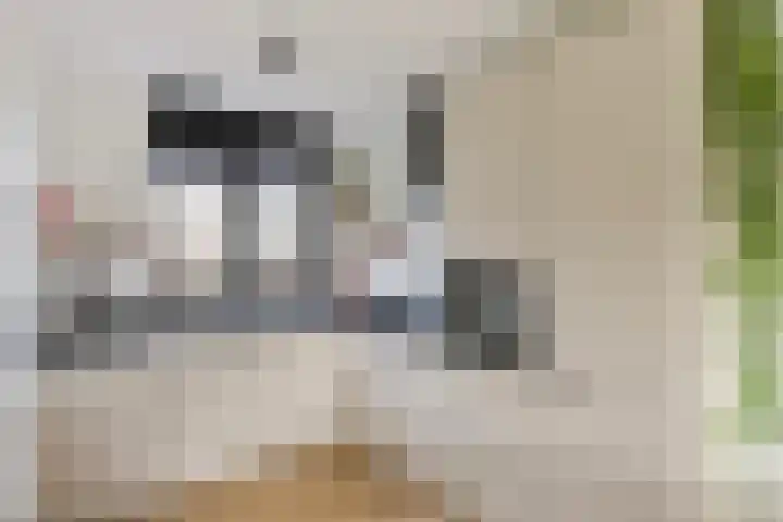 Beukmolen 3 Zwolle thumbnail 9