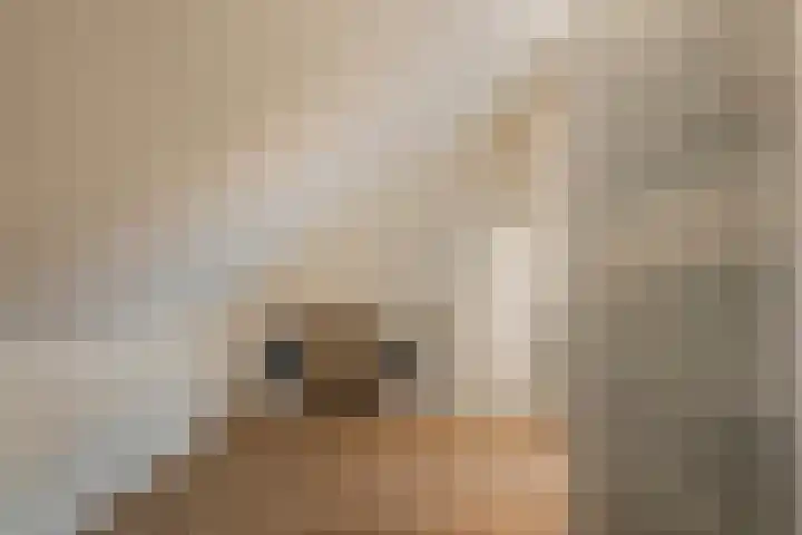 Beukmolen 30 Zwolle thumbnail 30