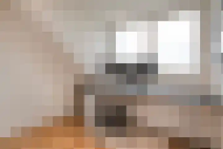 Beukmolen 30 Zwolle thumbnail 31