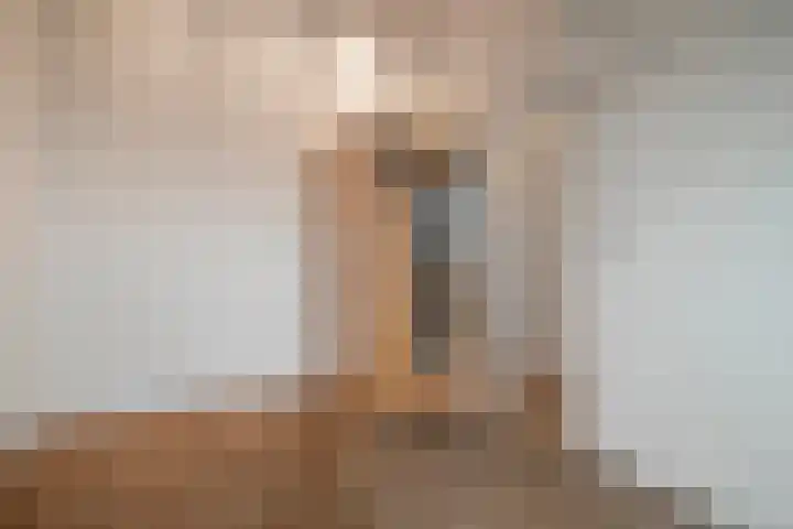 Beukmolen 30 Zwolle thumbnail 33