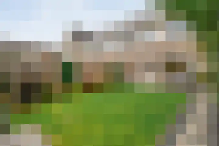 Beukmolen 30 Zwolle thumbnail 35