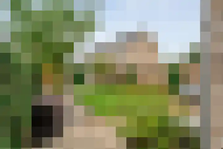 Beukmolen 30 Zwolle thumbnail 37