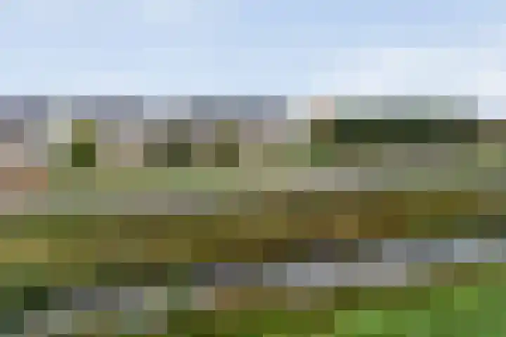 Beukmolen 30 Zwolle thumbnail 5