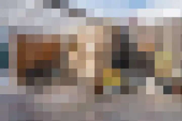 Beukmolen 42 Papendrecht thumbnail 16