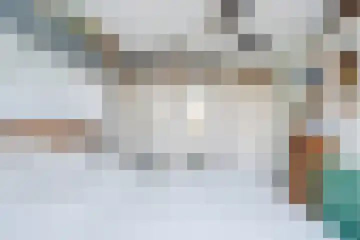 Beukmolen 42 Papendrecht thumbnail 25