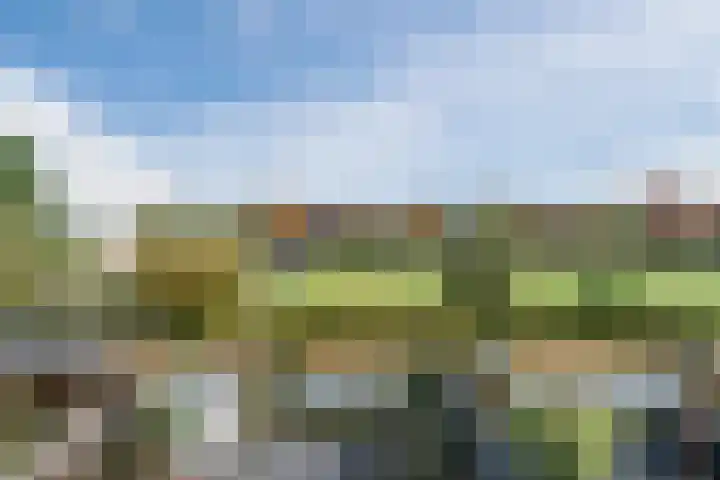 Beukmolen 42 Papendrecht thumbnail 26