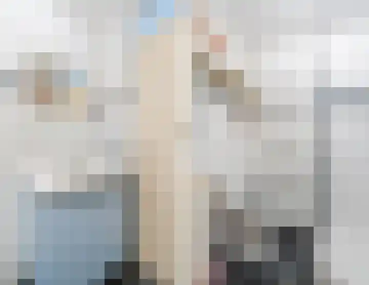 Beukmolen 42 Papendrecht thumbnail 37