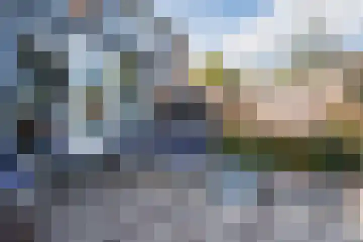 Beukmolen 42 Papendrecht thumbnail 45