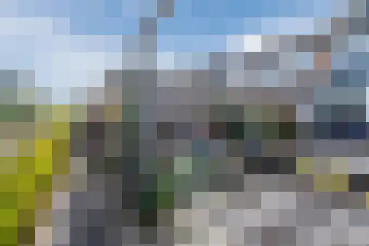 Beukmolen 42 Papendrecht thumbnail 49