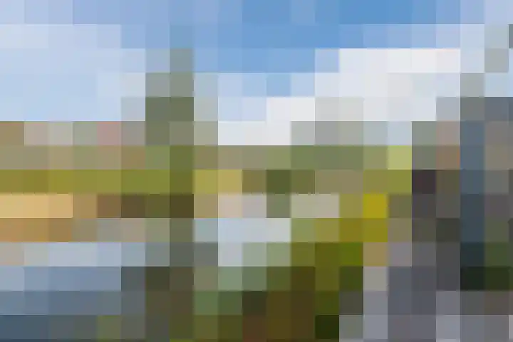Beukmolen 42 Papendrecht thumbnail 49