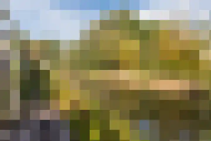 Beukmolen 42 Papendrecht thumbnail 50